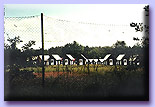 Holiday Camp