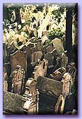 Cemetary
