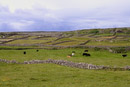 More stone walls.