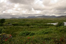 ... and here's a bog where it's from.