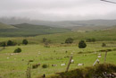 Typical Connemara  countryside on the last day of cycling.
