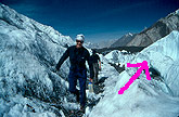 Snow Trail