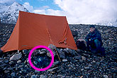 Tent on Ice