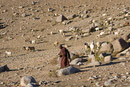 The goatherd turns back when he realizes that Giles has absconded with his goat.