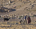 The goatherd takes possession once more, and GIles says goodbye to his new chum.