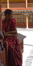 Young monk