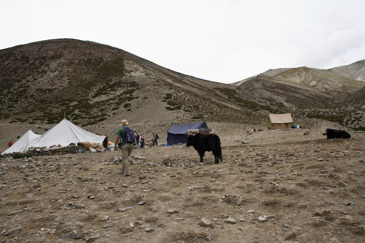 Arriving at Camp 2 - Ganda La Base Camp - 4400 m - 14,400 ft.