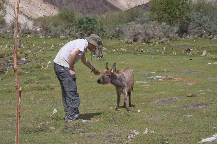 Giles makes a new friend.