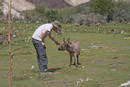 Giles makes a new friend.