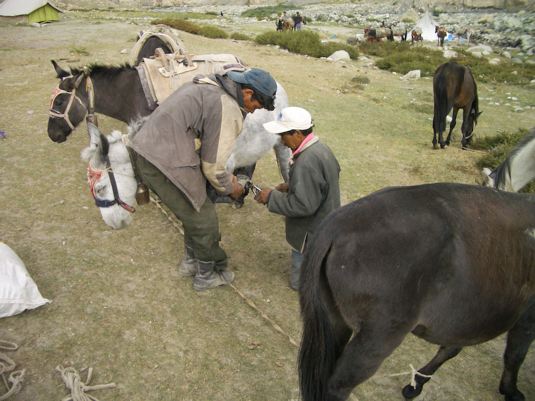 Day 6 - One of the horses needs a new shoe before we can leave.