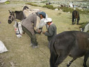 Day 6 - One of the horses needs a new shoe before we can leave.