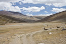 Reaching the Nimaling Plain where our campsite was (at the back).